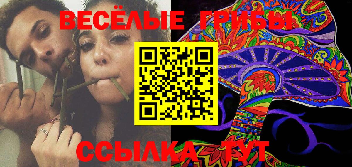 Чистополь  Псилоцибиновые грибы GOLDEN TEACHER  Вход с VPN 