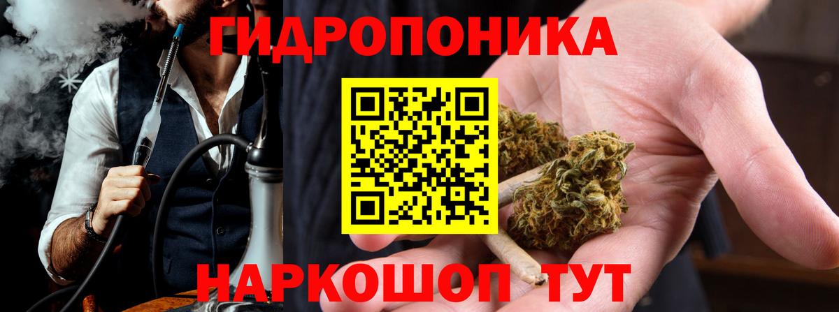 Конопля White Widow  Каннабис планчик  Вход с VPN  Чистополь  Канабис THC 21% 